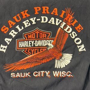 VTG Beef-y Harley Davidson SAUK CITY, WISC eagle t-shirt large made in usa